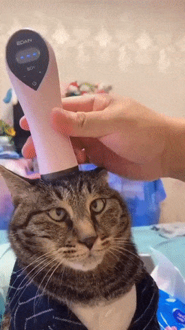 Cat massager