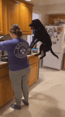 Dog jumps while waiting for food