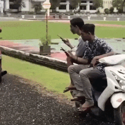 Motorcyclist steals phone