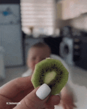 Baby eats kiwi