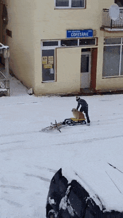 Boy on bicycle pulls dog on sled