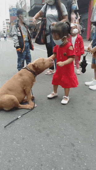 Little girl hugs dog