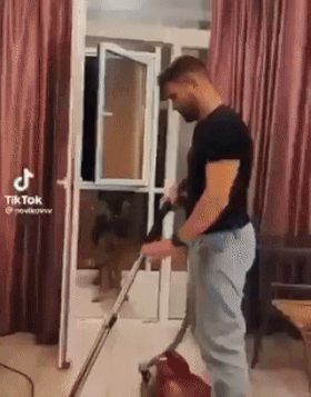 Dog rescues guy from vacuum cleaner