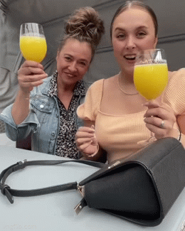 Two girls are toasting with juice