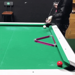 Billiards player and cat