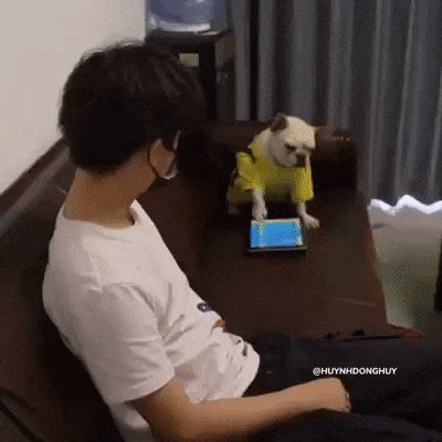 Angry dog and tablet