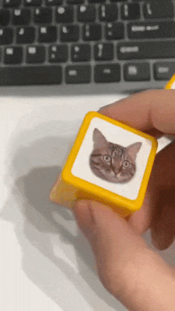 Cat stamp