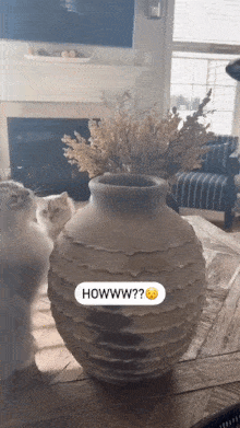 Cat enters the jar