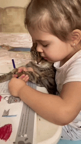 Little girl drawing with cat