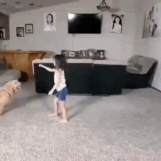 Little girl and dog acrobatics
