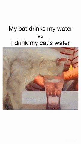 Guy drinks water with cat