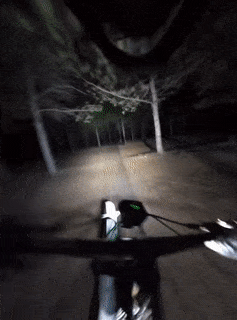 Night cycling through forest