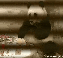 Panda and lunch bill