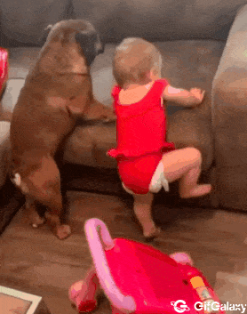 Dog and baby climb on couch