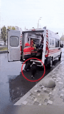 Dog and man in ambulance