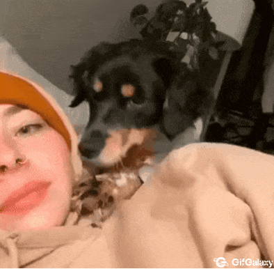 Dog and woman in bed
