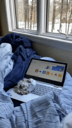 Dog vomited on laptop