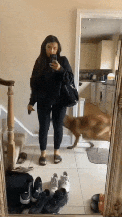 Dog jumps on girl