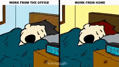 Work from office vs work from home