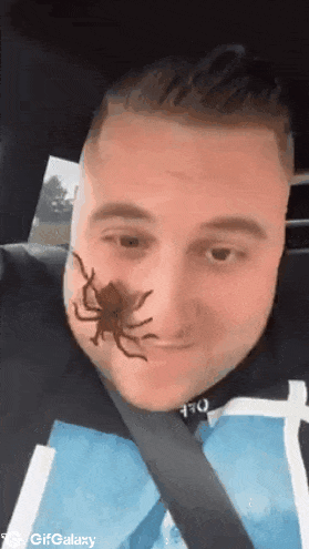 Prank with girl and spider