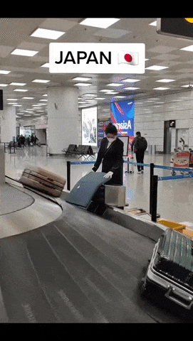 Luggage in Japan and the rest of the world