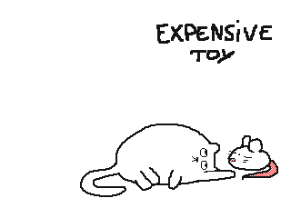 Expensive stuff cat animation