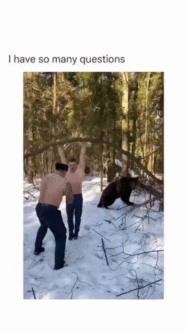 Training in forest with bear