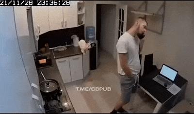 Clumsy cat and jump on his back