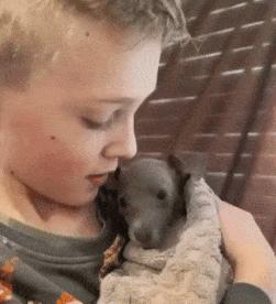 Frightened puppy and boy