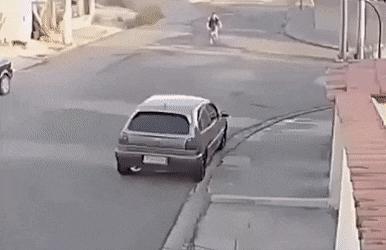 Dogs chase cyclist