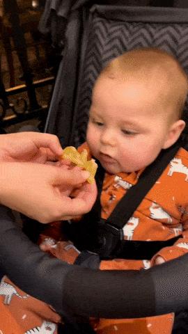 Baby eats lemon