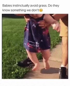 Babies and grass