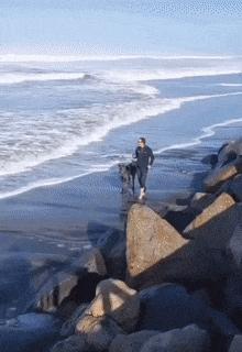 Man with dog on beach