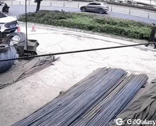 Man is afraid of dog