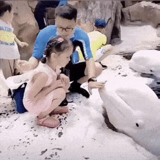Dolphin kissed girl