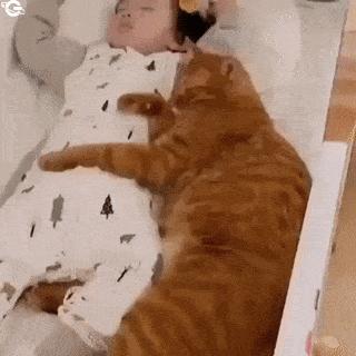 Child sleeps with cat