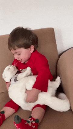 Boy and white cat