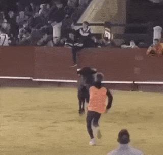 Boy matador and bull