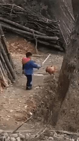 Boy with sword and chicken