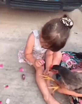 Little girl paints chicken nails