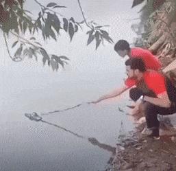 Catching slippers in water