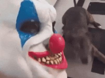 Clown mask and dog