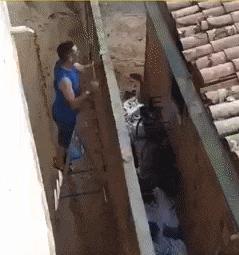 Neighbor steals barbecue