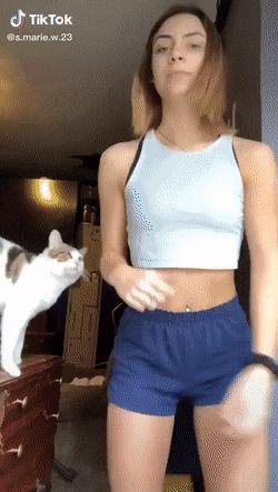 Cat and dancing girl