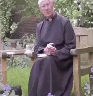 Cat friar and party