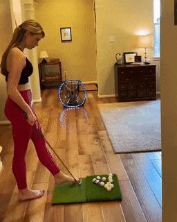 Cat and golf