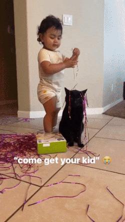 Cat and a boring baby