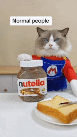 Cat and nutella