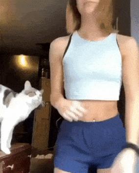 Cat does not allow fooling