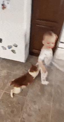 Cat is pulling baby